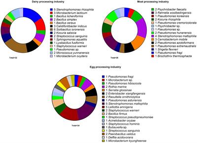 Synergistic interactions in multispecies biofilm combinations of bacterial isolates recovered from diverse food processing industries